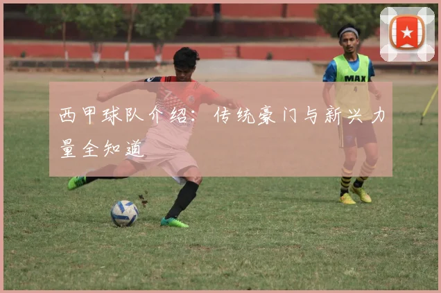 西甲球队介绍：传统豪门与新兴力量全知道