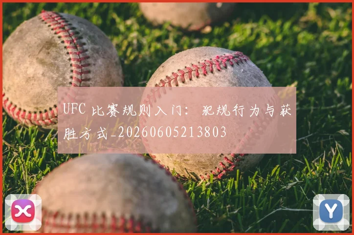 UFC 比赛规则入门:犯规行为与获胜方式_20260605213803